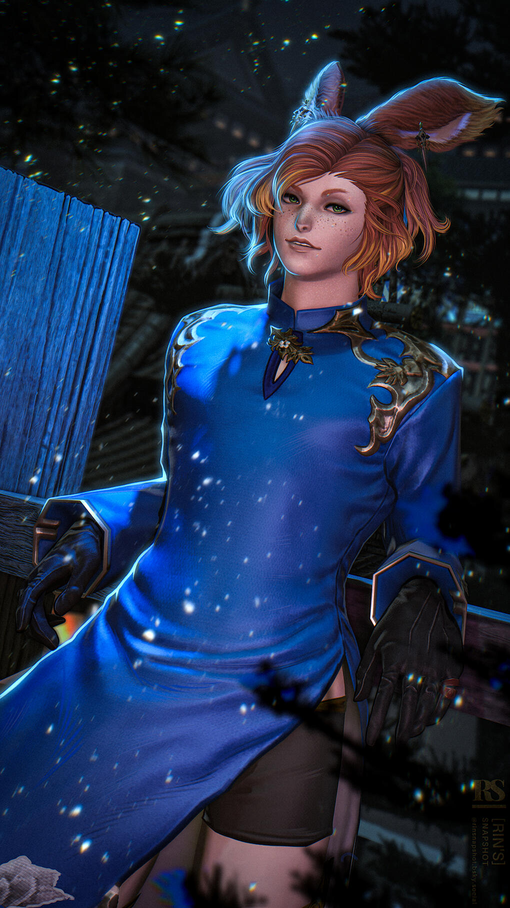 Zeris | Commission